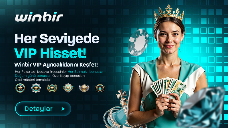 HER SEVİYEDE VİP HİSSET